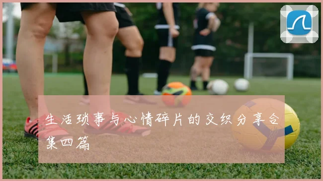 生活琐事与心情碎片的交织分享合集四篇