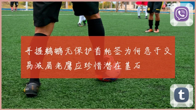 手握鹈鹕无保护首轮签为何急于交易浓眉老鹰应珍惜潜在基石