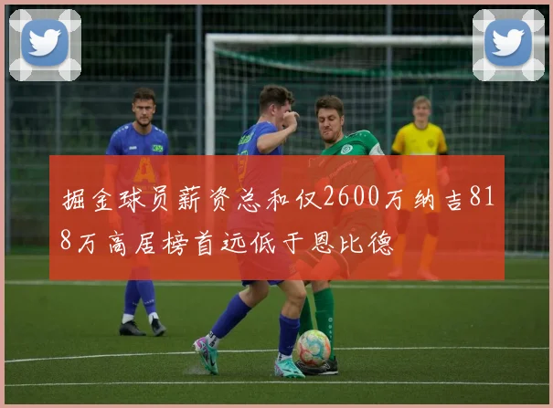 掘金球员薪资总和仅2600万纳吉818万高居榜首远低于恩比德